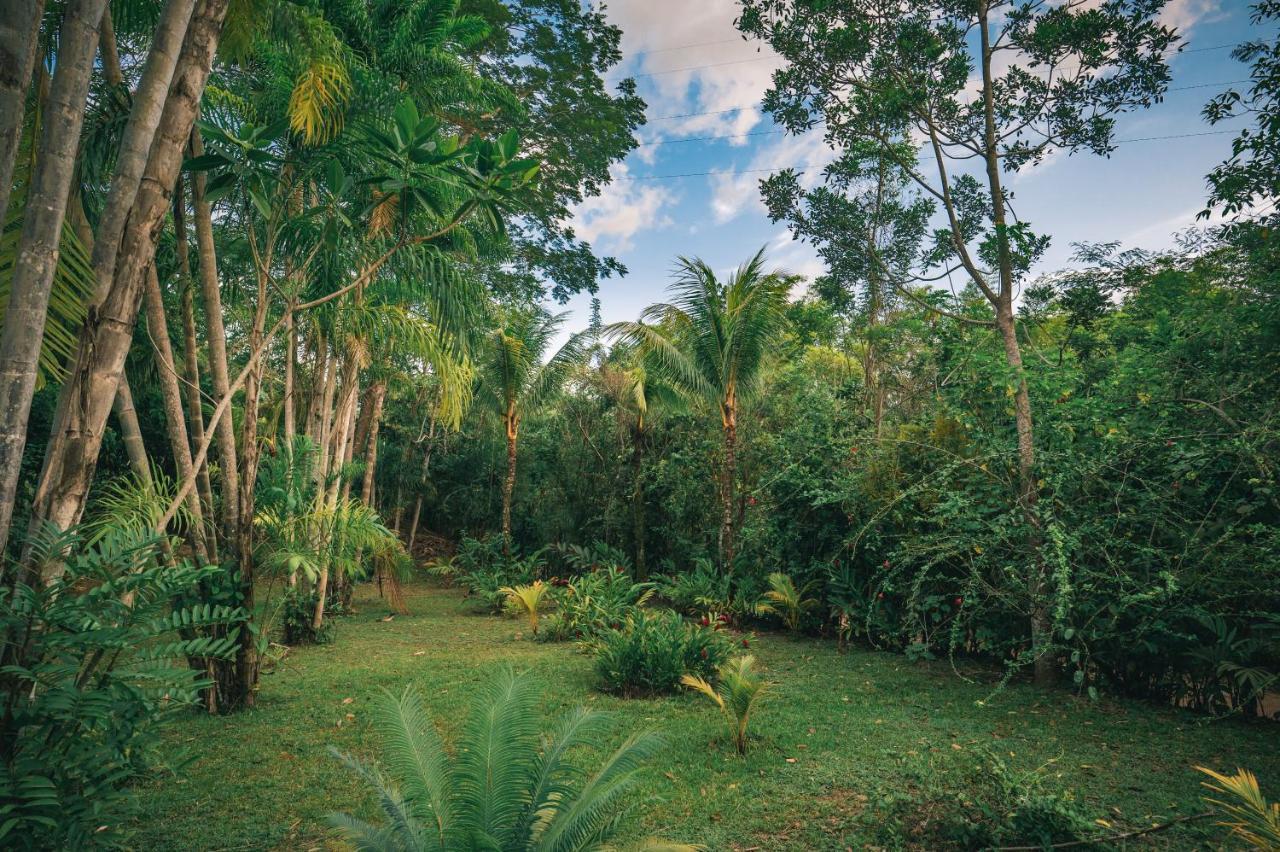 Huingos Eco Lodge Tarapoto Exterior foto