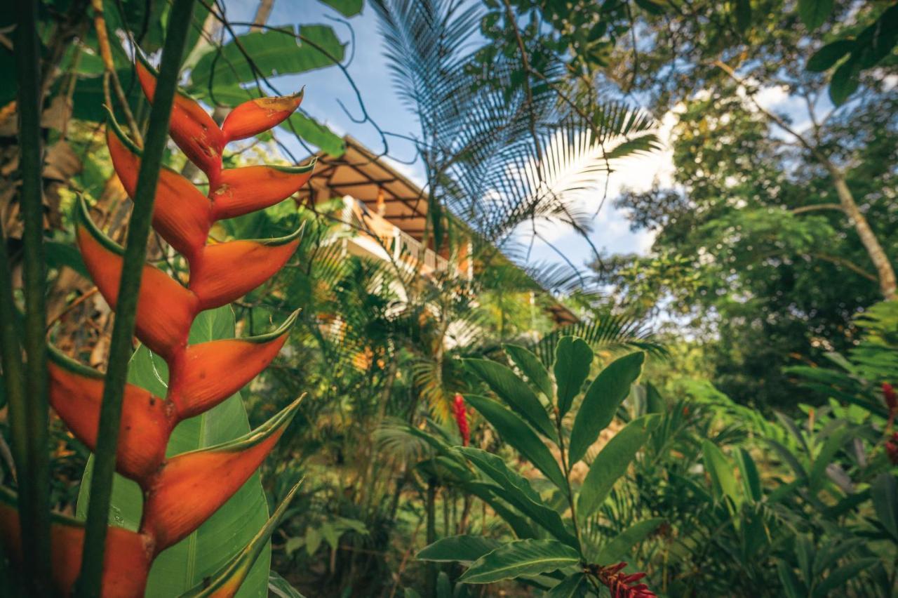 Huingos Eco Lodge Tarapoto Exterior foto