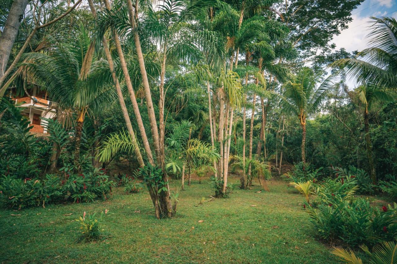 Huingos Eco Lodge Tarapoto Exterior foto