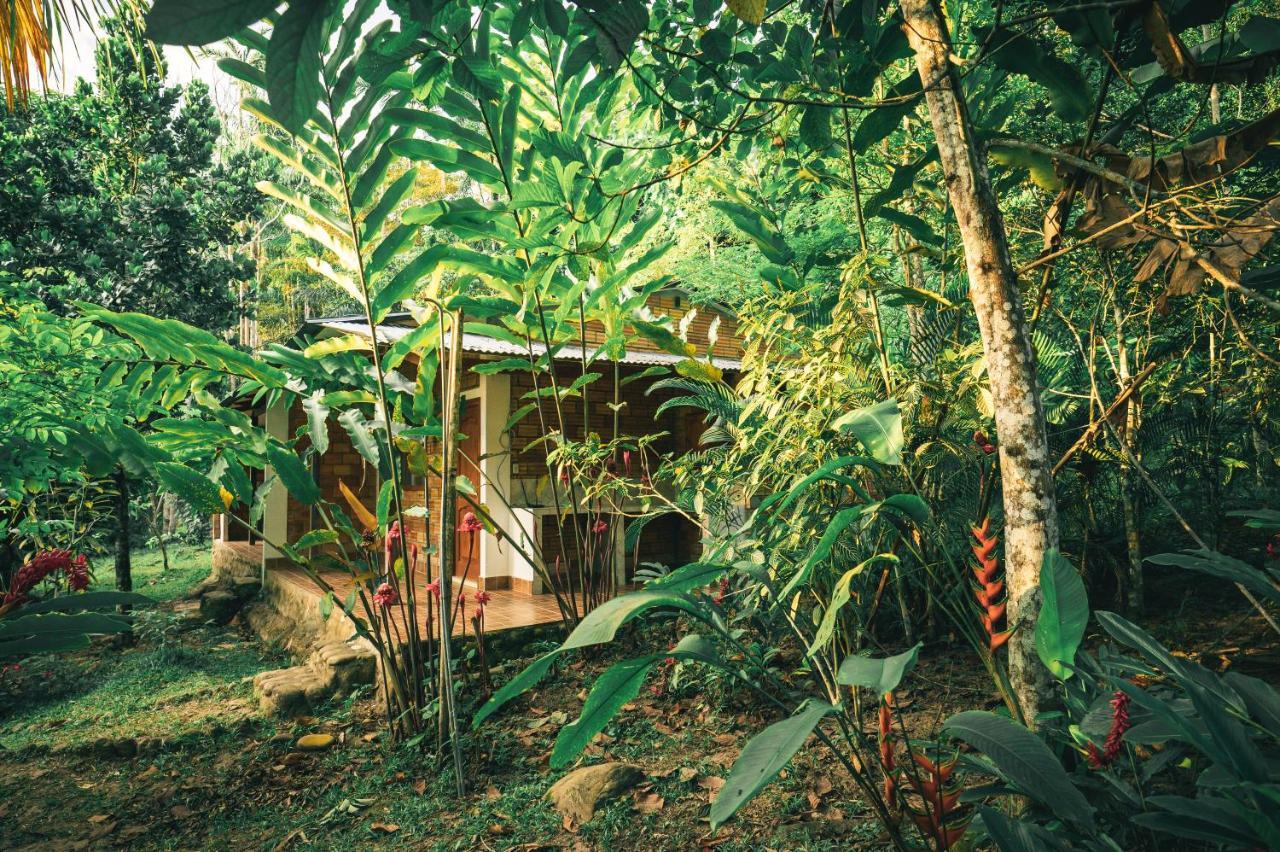 Huingos Eco Lodge Tarapoto Exterior foto