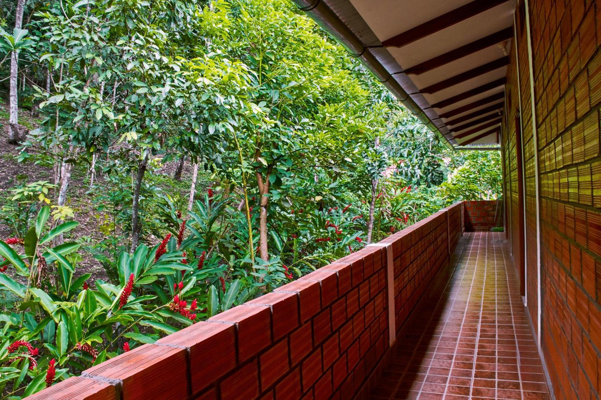 Huingos Eco Lodge Tarapoto Exterior foto